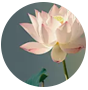 熊貓?bào)w育